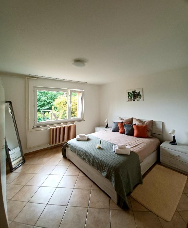 I Vallata Paradise I Free Parking - Garden&View - 10Minutes From Lugano Kültér fotó
