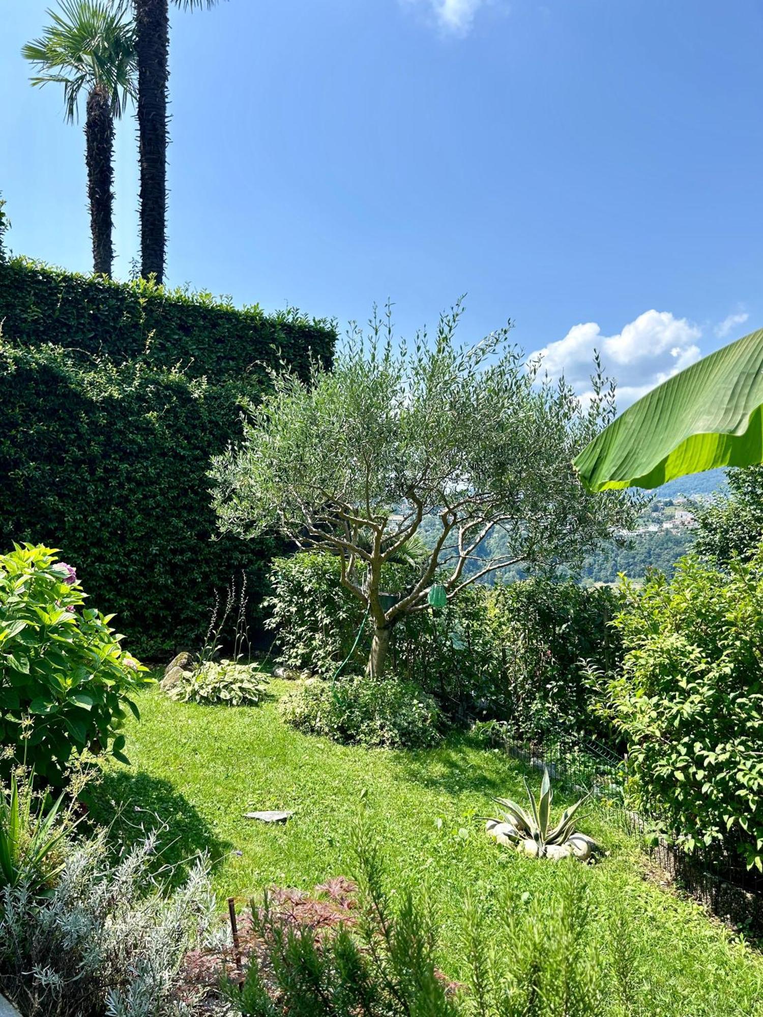I Vallata Paradise I Free Parking - Garden&View - 10Minutes From Lugano Kültér fotó