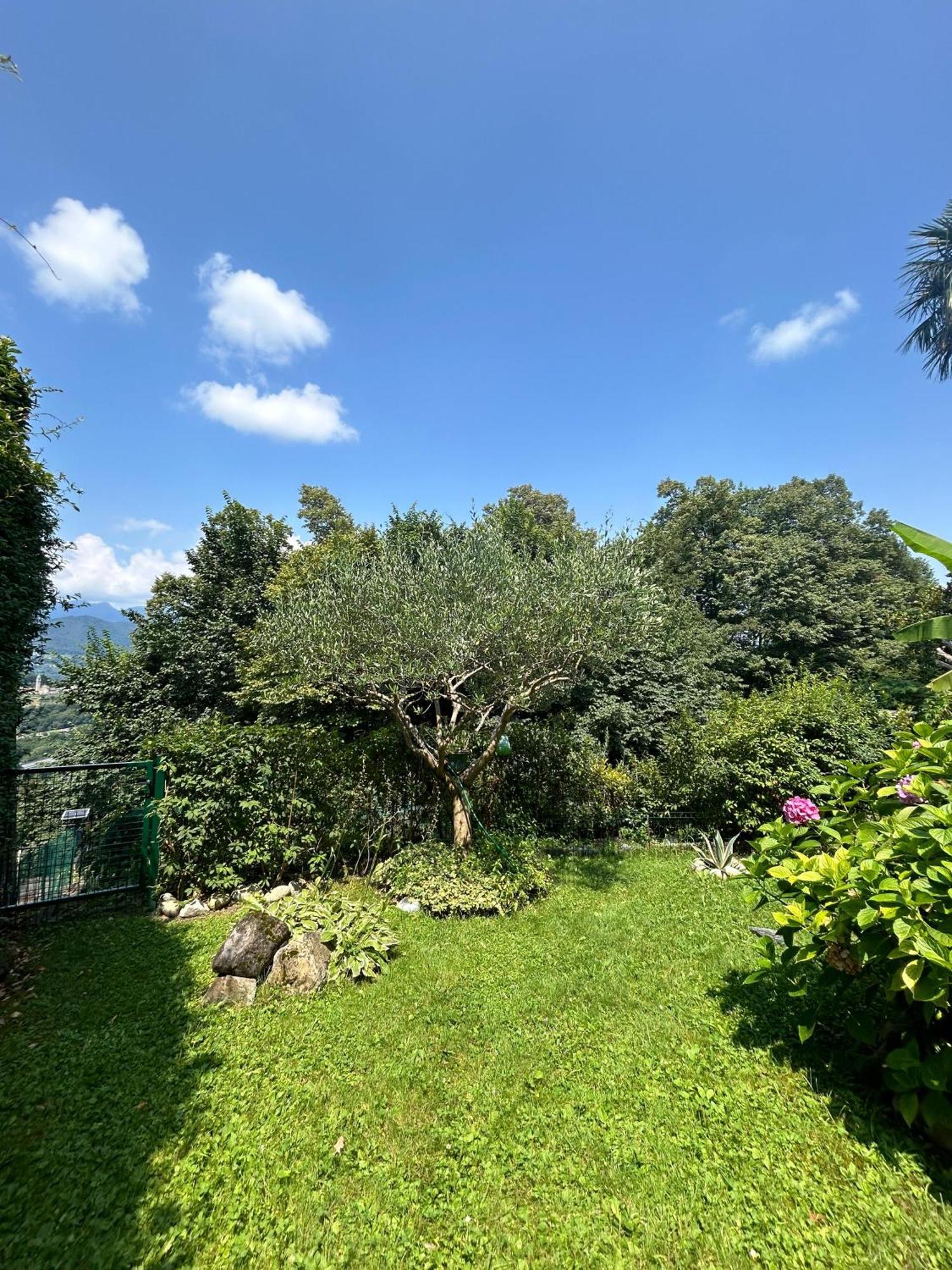 I Vallata Paradise I Free Parking - Garden&View - 10Minutes From Lugano Kültér fotó